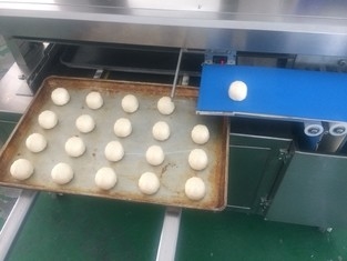 প্যানাসনিক সেন্সর কেয়া বান রুটি উত্পাদন লাইন 380V স্বয়ংক্রিয়